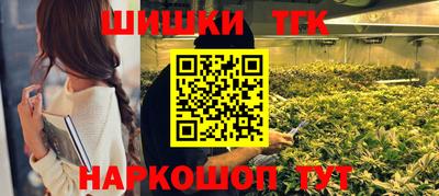 стаф Можга