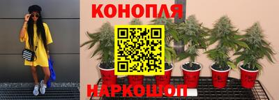 ГАЛЛЮЦИНОГЕННЫЕ ГРИБЫ Моздок
