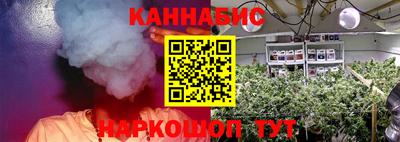 стаф Можга