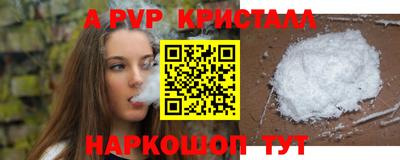 стаф Можга